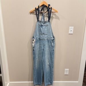 Holding Horses Denim Overalls